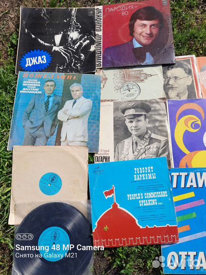 Виниловые пластинки