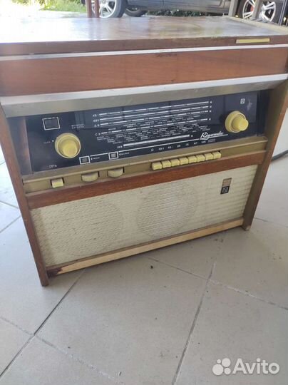 Ригонда,Виктория001,Россия101