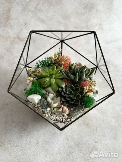 Флорариум. Подарок. Уникальный декор