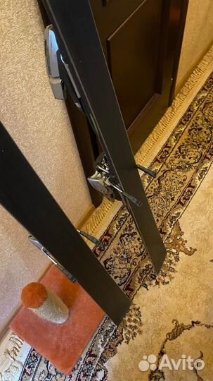 Горные лыжи