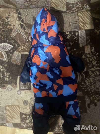 Куртка для собак мелких пород