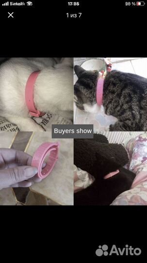 Ошейник для кошек