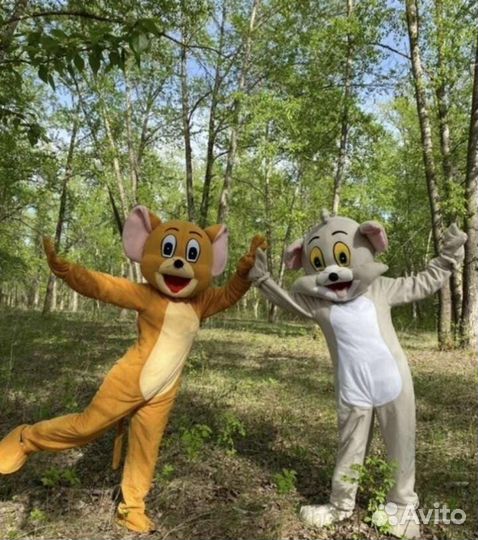Аренда костюмов,ростовых кукол,заказ поздравления