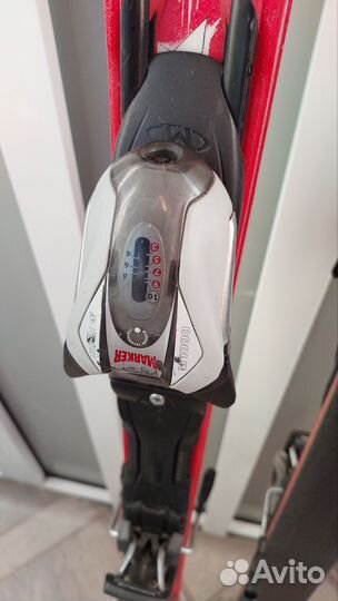 Горные лыжи