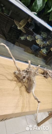 Коряги для аквариума