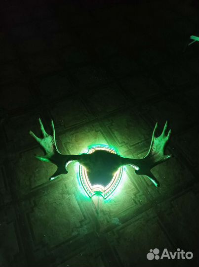 Продам рога лося