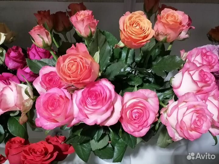 Роза, гербера, лилия, альстромерия, хризантема