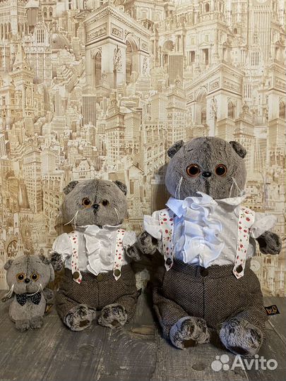 Кот Басик Романтик