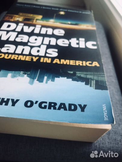 Книга на английском Divine Magnetic Lands