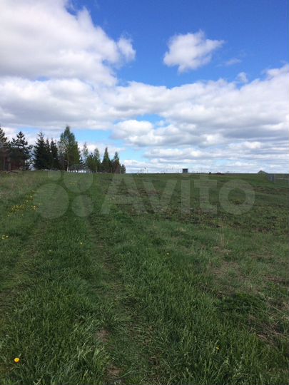 Участок 50 сот. (ИЖС)