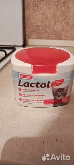 Смесь для котят