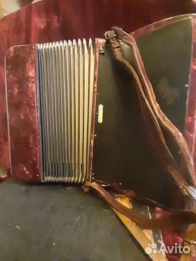 Аккордеон horch