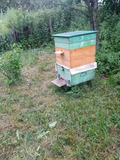 Участок 30 сот. (ИЖС)