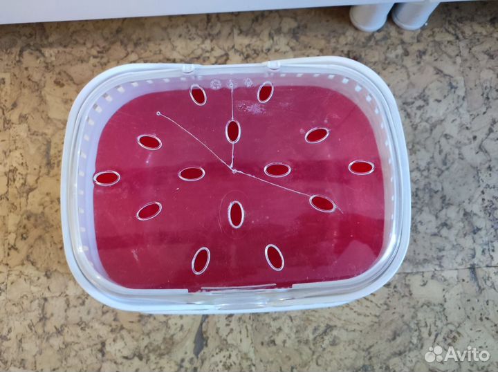 Переноска для грызунов