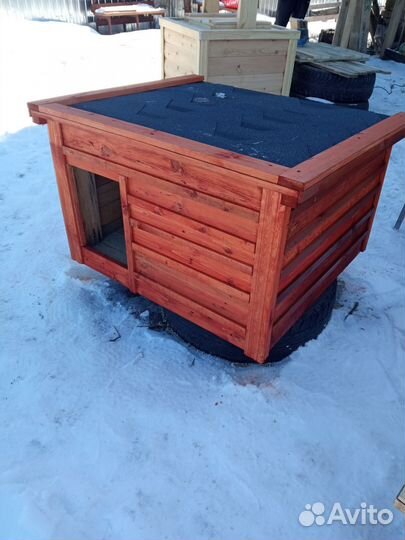 Собачья будка