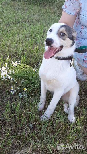 Не пройдите мимо