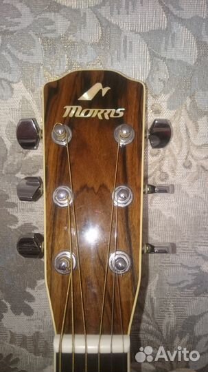 Акустическая гитара Morris модель MF 400