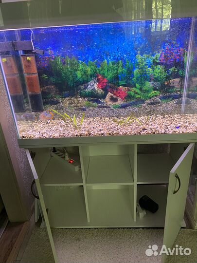 Аквариум с тумбой 250л
