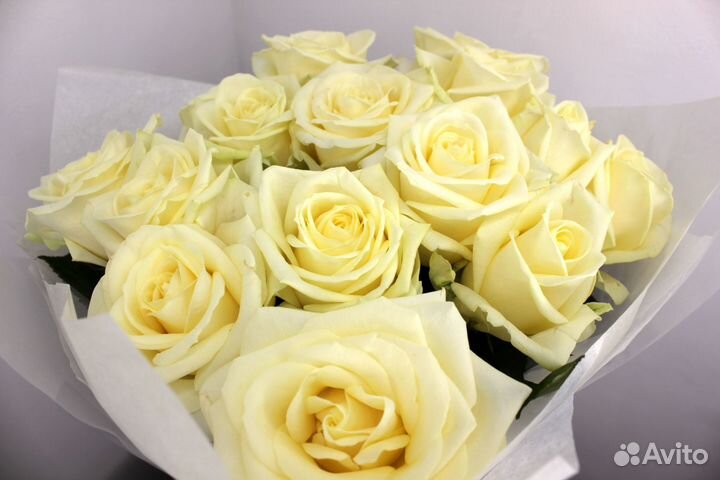 Розы. Букет цветов. 25 31 51 101