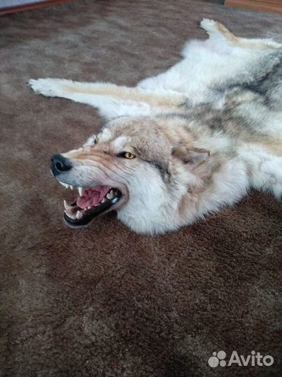 Имитация шкуры волка(на подкладе )