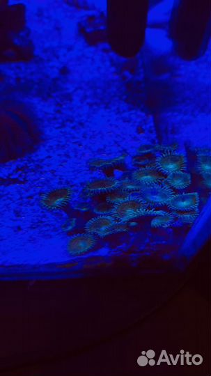 Морской аквариум 30л кубик