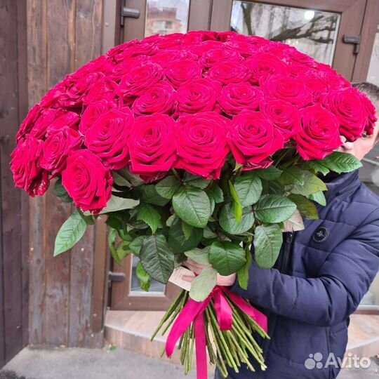 Высокие красные розы премиум качество 25 51 101 шт