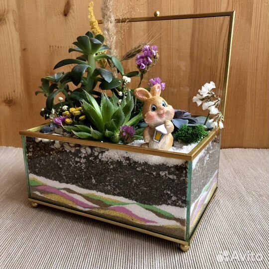 Флорариум “Садик в шкатулке» в наличии