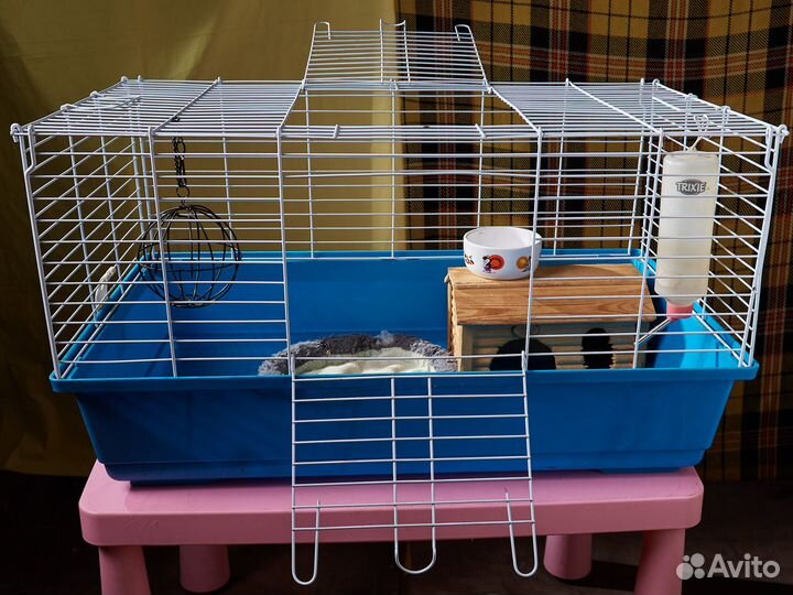 Клетка для морской свинки морских свинок ежа