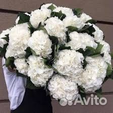 Букет Крапной Гортензии с доставкой