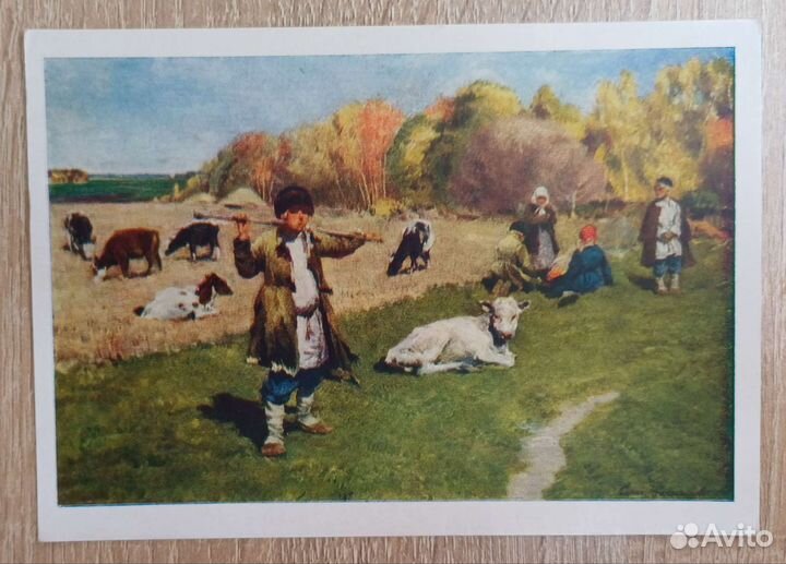 Пастушок, открытка 1957 года