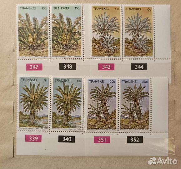 Почтовые марки, флора Южной Африки, Транскей
