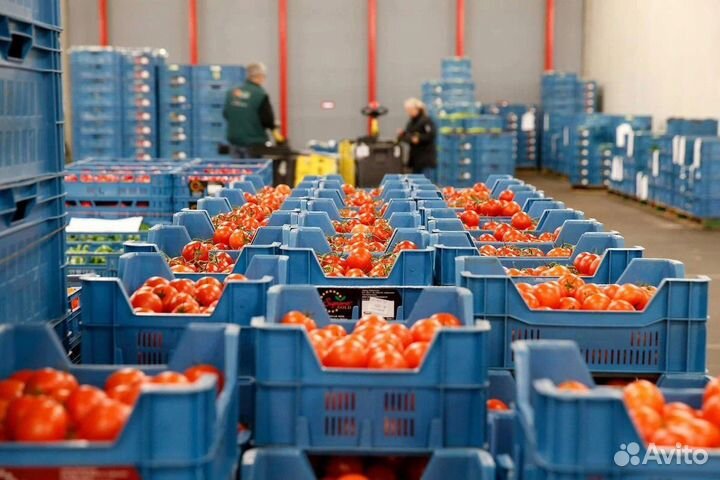 Работники на клад овощей