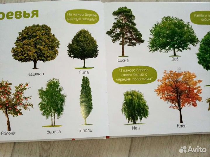 Книги детские новые