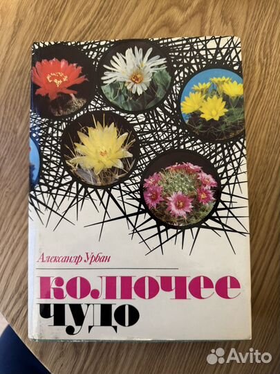 Книги о кактусах