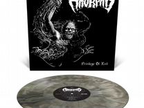 Amorphis / Privilege Of Evil (Coloured Vinyl)(12"