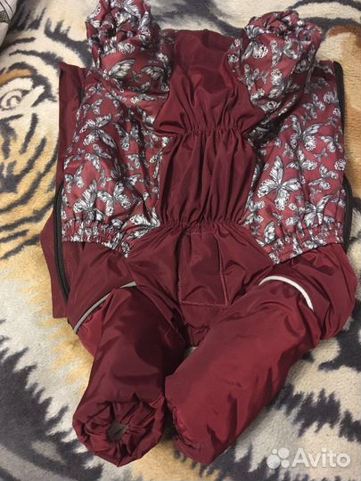 Одежда для собак