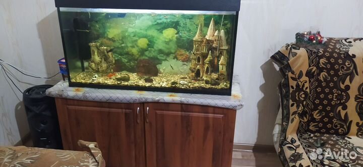 2 больших замка компрессор,фильтр