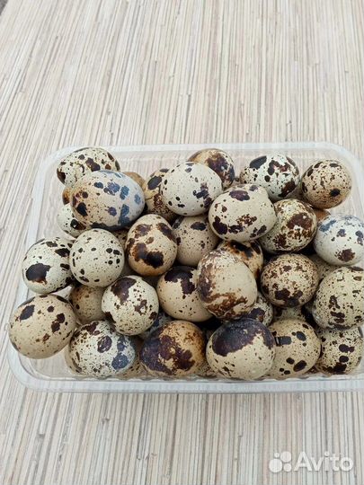 Яйца перепелиные домашние
