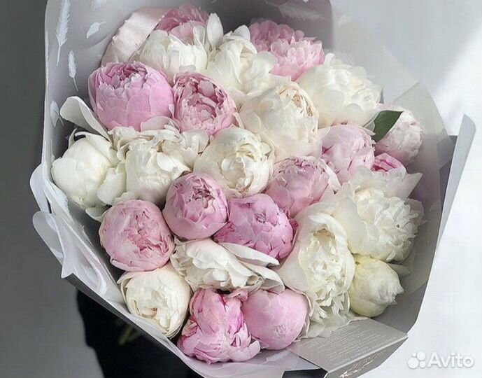 Букет пионов 5 9 11 13 15 с доставкой