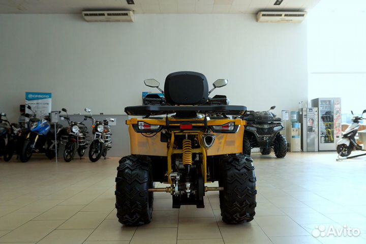 Avantis hunter 200 BIG LUX