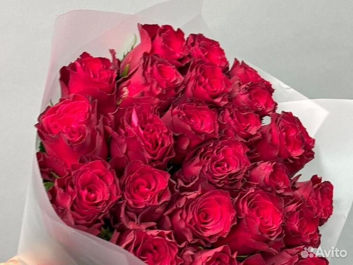 Свежие розы 25 роз 51 роза 101 роза