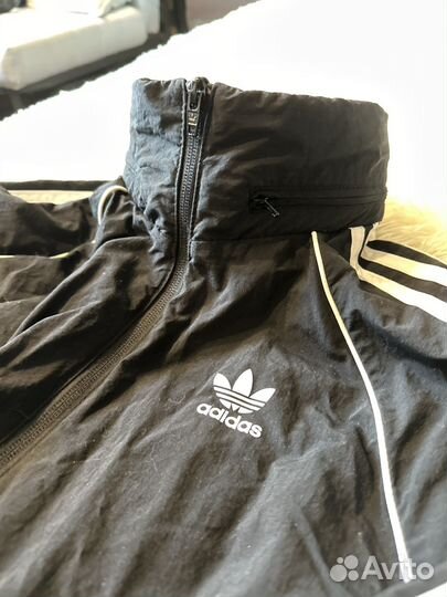 Олимпийка Adidas Originals мужская