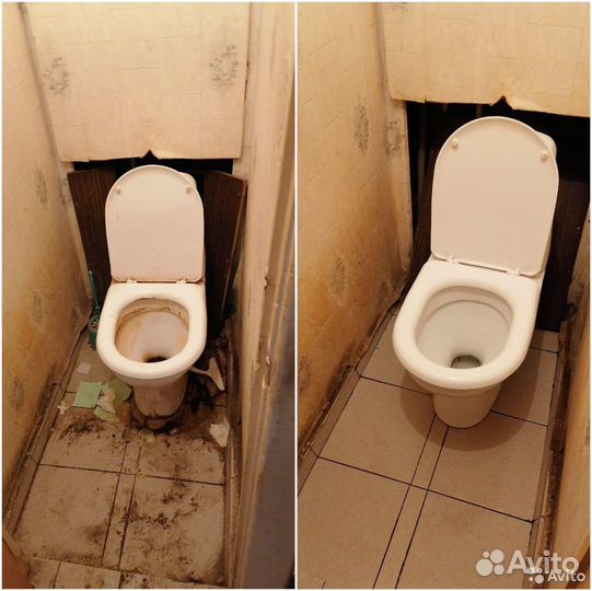 Дезинфекция