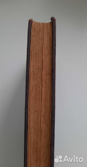 Блох И. Половая жизнь нашего времени. 1910г