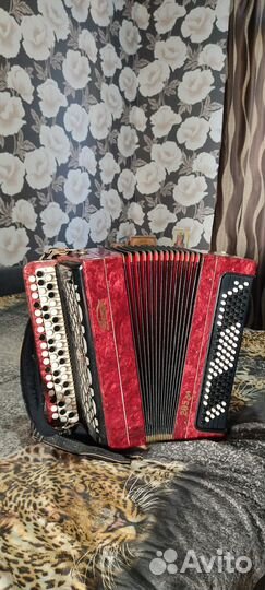 Баян этюд 205м