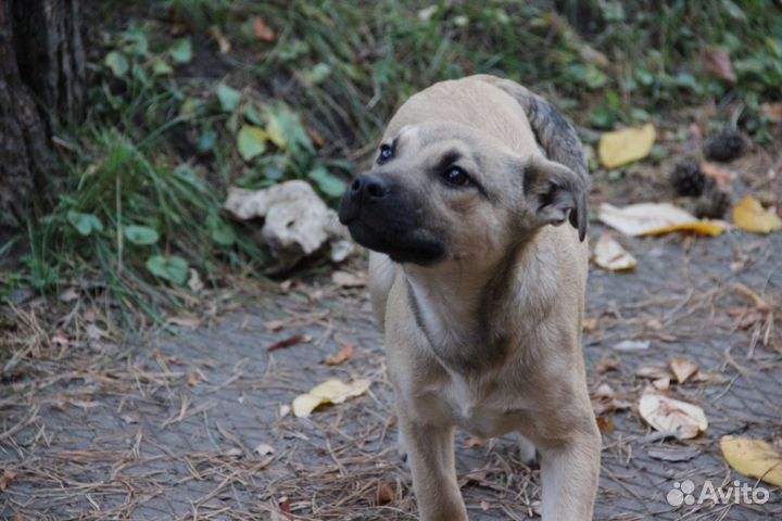 Девочка 3,5 месяца. Стерильна