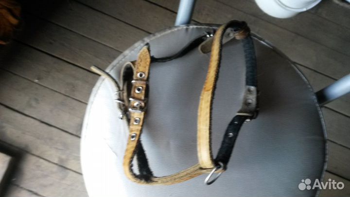 Шлейка для собаки