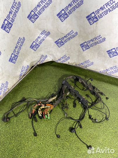 Проводка двигателя Bmw 750I седан 4.8 N62B48B 2007