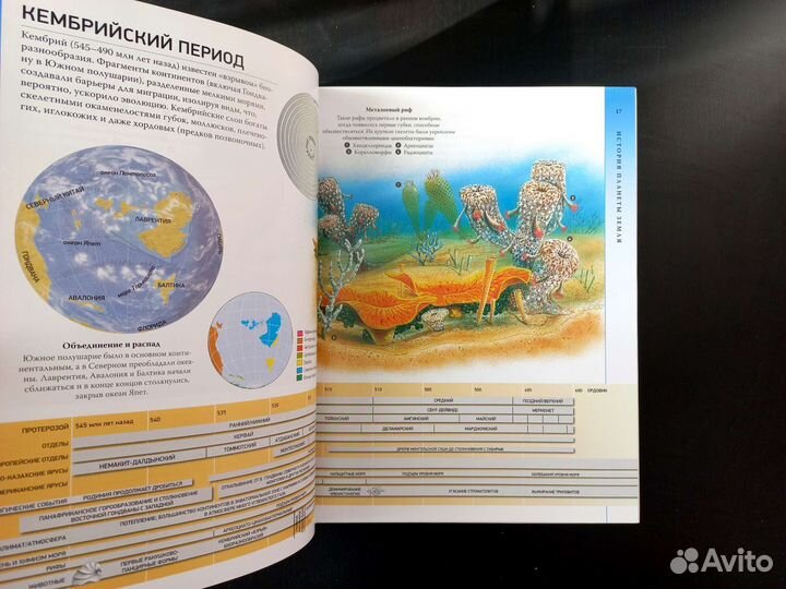Познавательные книги для детей