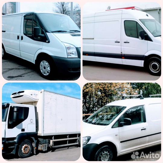 Грузоперевозки с Рефрижератором